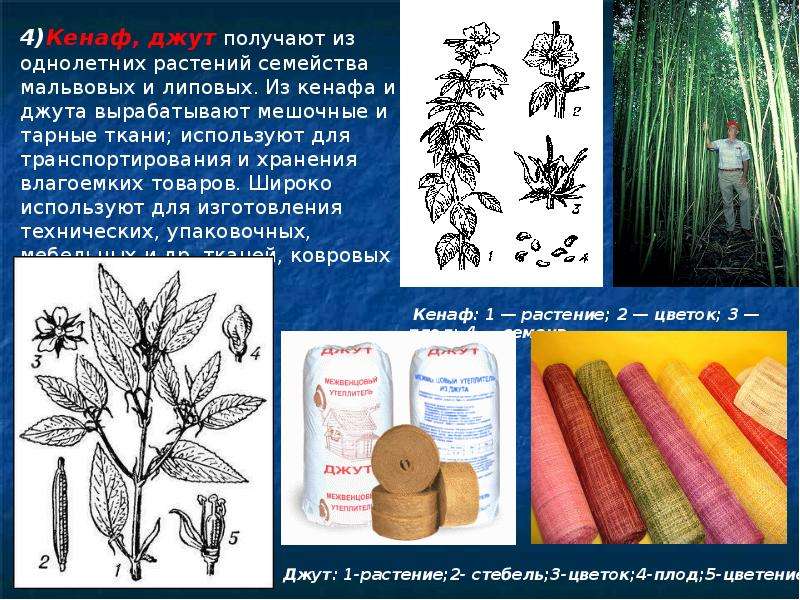 Из какого растения делают ткани