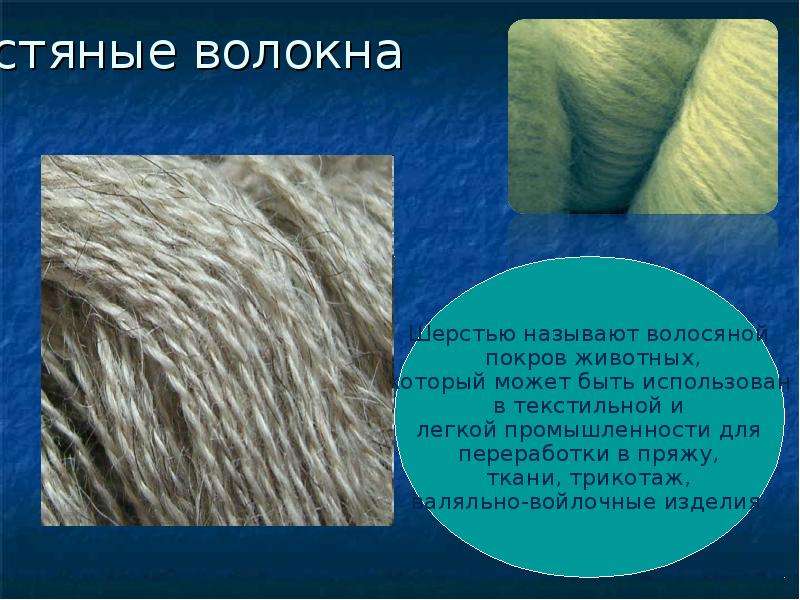 Ткани полученные из шерсти. Шерстяное волокно. Шерсть презентация. Натуральные волокна шерсть. Шерсть название волокна.