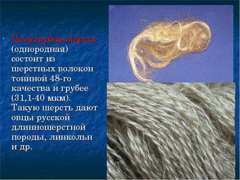 Описать шерсть. Виды шерсти. Шерстяное волокно. Ткани из шерстяных волокон. Овца и волокна шерсти.