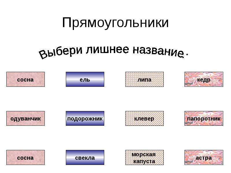 Лишнее имя. . Выбери лишнее название:. Рисунок объекта и его имена. Игра что лишнее название тканей.