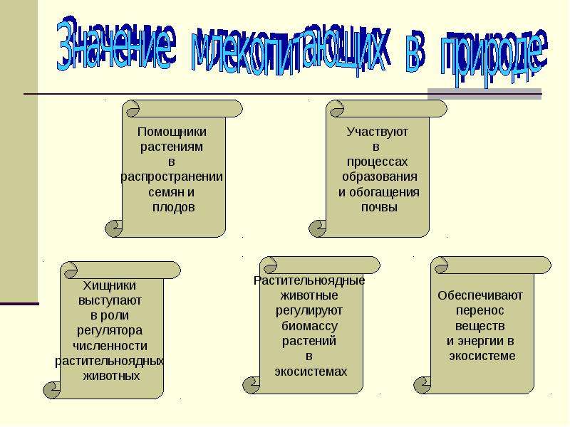 Значение млекопитающих презентация 7 класс