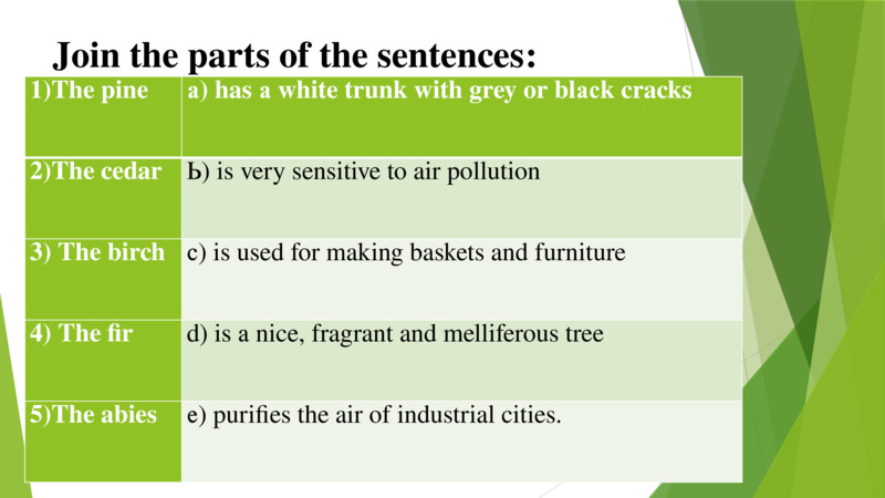               1)The pine                 а) has а white trunk with grey or blасk cracks                         2)The cedar                 Ь) is very sensitive to air pollution                          3) The birch                  с) is used for making baskets and furniture                         4) The fir                  d) is а nice, fragrant and melliferous tree                         5)The abies                  е) purifies the air of industrial cities.                  Join the parts of the sentences:  