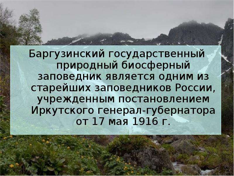 Баргузинский заповедник презентация