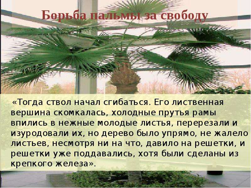 Гаршин аталия принцепс урок в 5 классе презентация