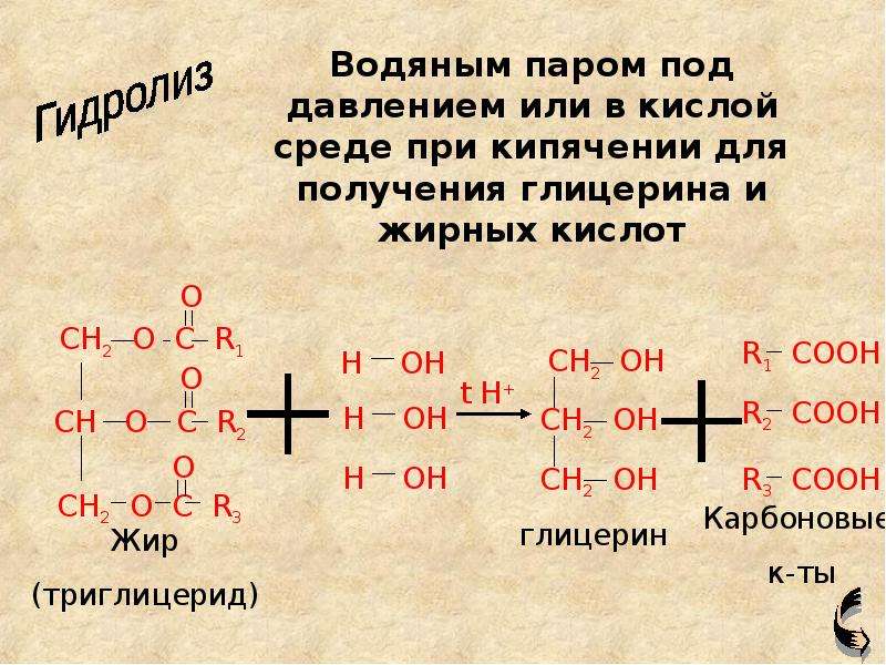 Изучение жиров. Жиры химия. Химическое прогоркание жиров. Получение жиров химия.