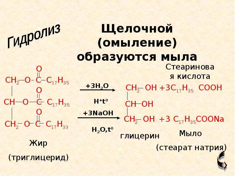 Глицерин c. Изучение жиров. История открытия жиров. Глицерин и стеариновая кислота. Состав триглицерид жиров.