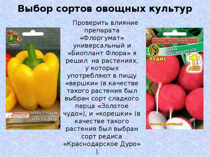 Гибридные сорта овощных культур