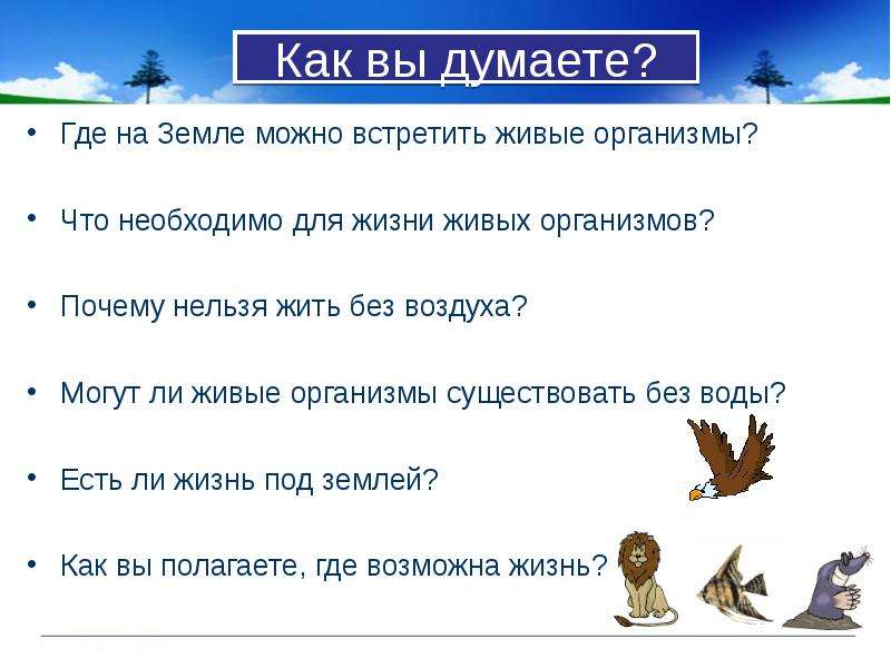 Воздух нельзя. Могут ли живые организмы жить без воды. Где нельзя встретить живые организмы. Где на земле обитают живые организмы. Почему на земле возможна жизнь.