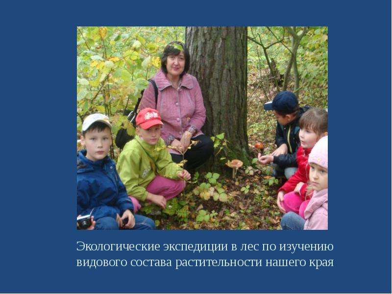 Изучение леса школьниками. Михневский лес. Изучаем лес.