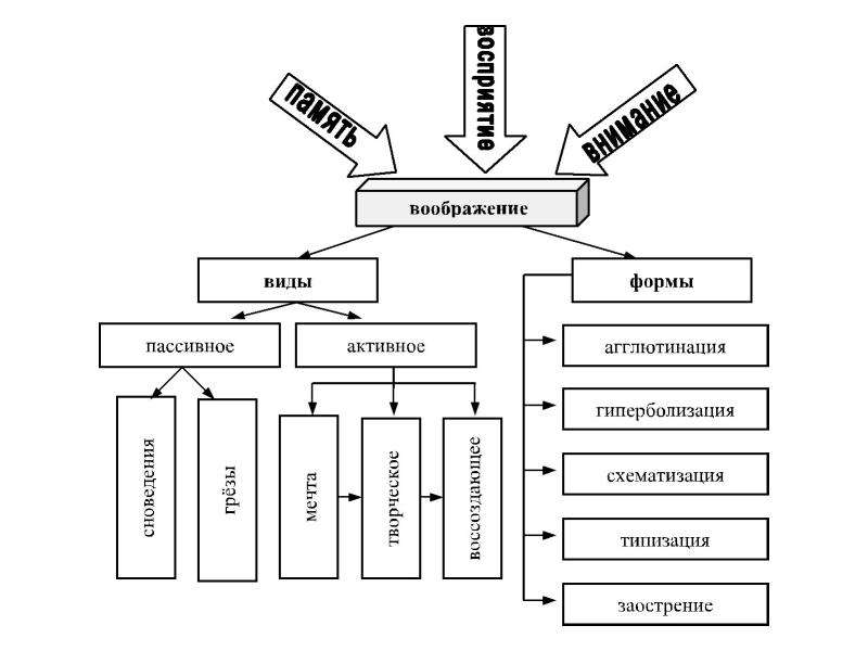Воображение схема по психологии