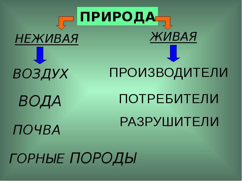 Живая и неживая природа 3 класс по окружающему миру презентация