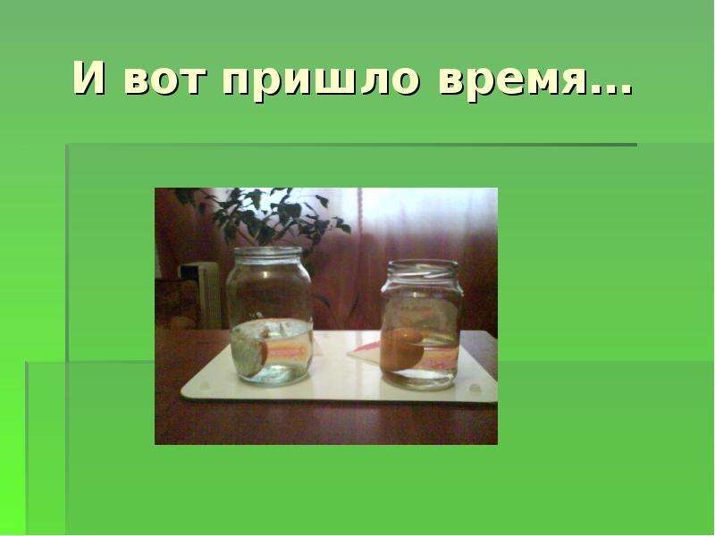 Уксусе банк. Положи в банку. Как положить эссенцию в банку. Учебник с уксусом. В банку положили землю картинка.