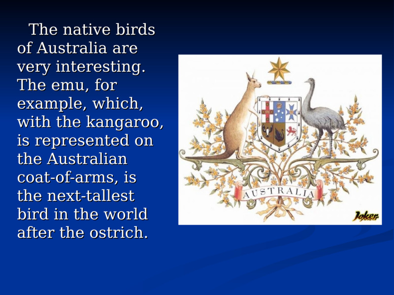      The native birds of Australia are very interesting. The emu, for example, which, with the kangaroo, is represented on the Australian coat-of-arms, is the next-tallest bird in the world after the ostrich.              The native birds of Australia are very interesting. The emu, for example, which, with the kangaroo, is represented on the Australian coat-of-arms, is the next-tallest bird in the world after the ostrich.         