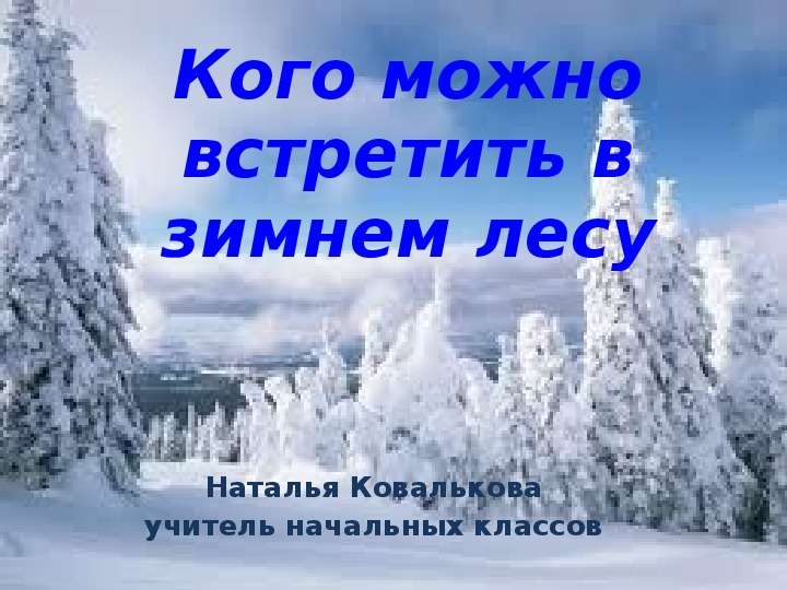 Презентация Кого можно встретить в зимнем лесу Наталья Ковалькова учитель начальных классов