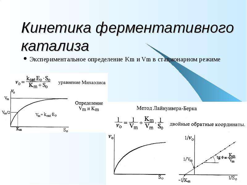 Презентация кинетика ферментативных реакций