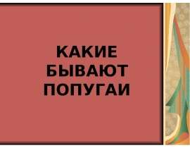 КАКИЕ БЫВАЮТ ПОПУГАИ