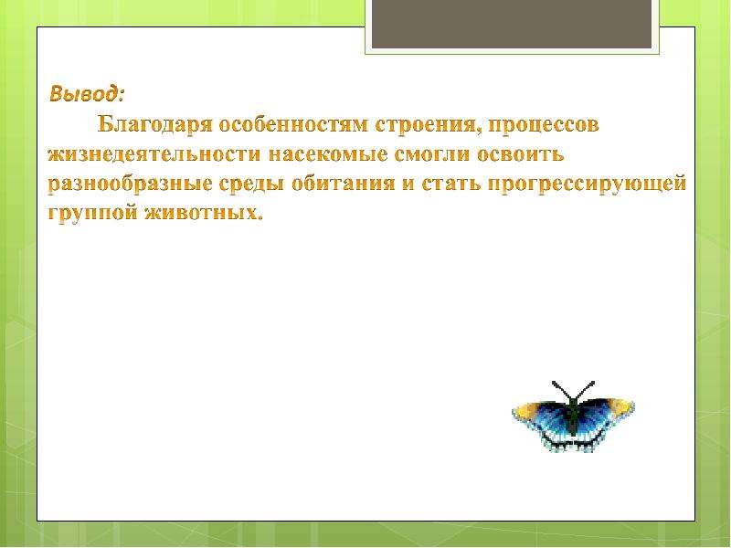 Строение и жизнедеятельность насекомых. Жизнедеятельность насекомых. Особенности жизнедеятельности насекомых. Особенности строения и жизнедеятельности насекомых. Особенности процессов жизнедеятельности насекомых.