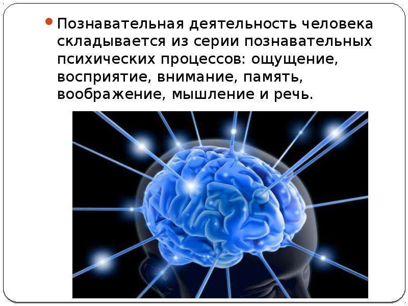 Какие науки изучают работу мозга. Познавательная деятельность мозга. Внимание ,память,речь, мышление. Мыслительная деятельность человека. Память и внимание.