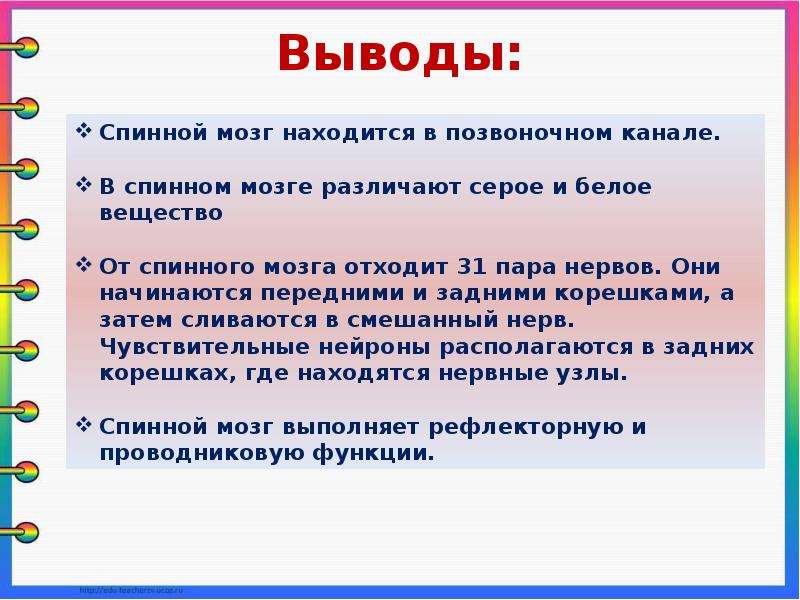 Презентация по теме спинной мозг биология 8 класс