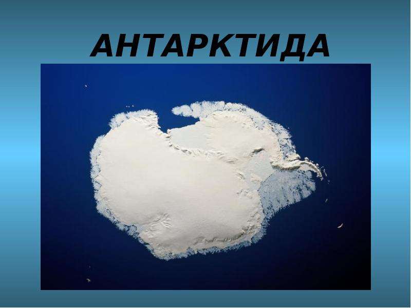 Презентация антарктика английский