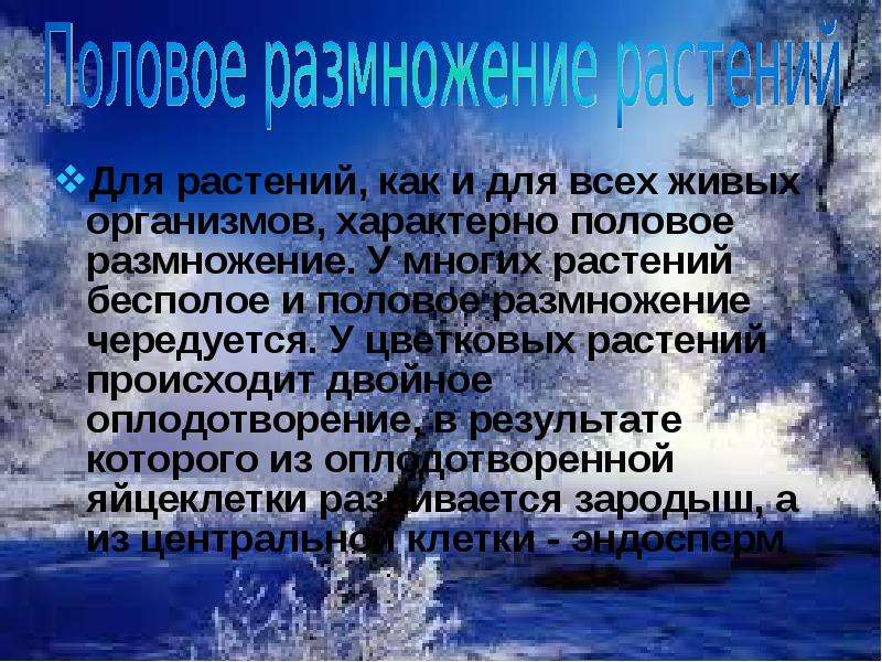 Что характерно для живых организмов. Для всех живых организмов характерно. Для живых организмов нехарактерно. Для живого организма характерно состояние.