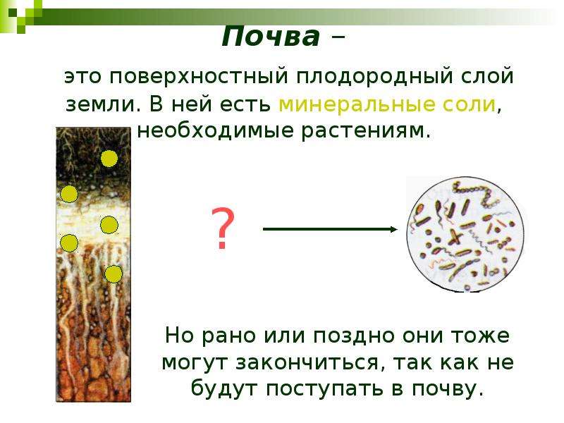 Закончи модель образования. Минеральные соли из почвы. Модель образования Минеральных солей в почве. Образование Минеральных солей в почве схема. Из чего в почве образуются Минеральные соли.