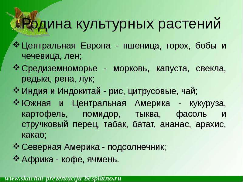 Приведи пример культурного растения пришедшего из дальних. Родина культурных растений. Культурные растения дальних стран. Культурное настение пришедшедшее из дальних Стоан. Культурное растение пришедшее к нам из дальних стран.