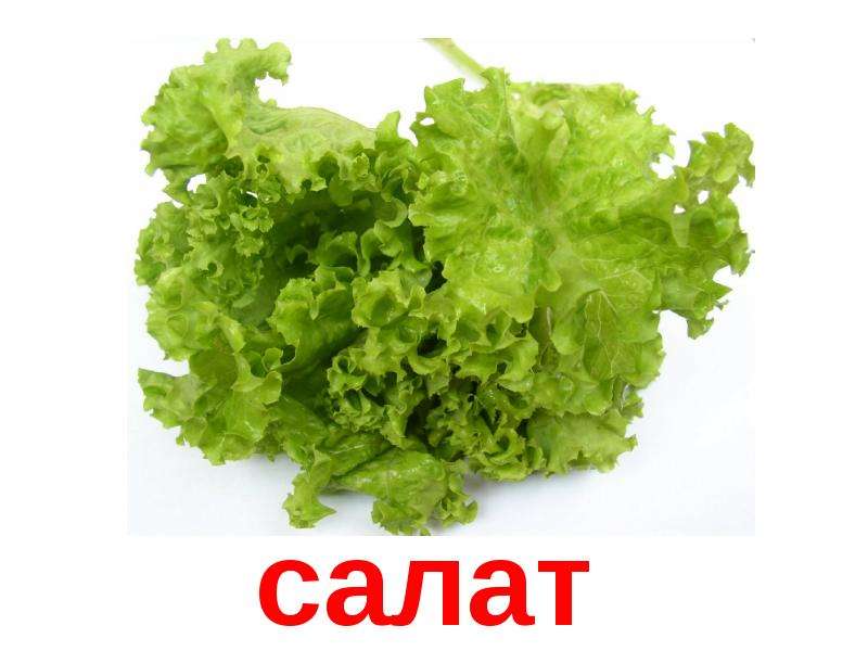 Карточки салат для детей