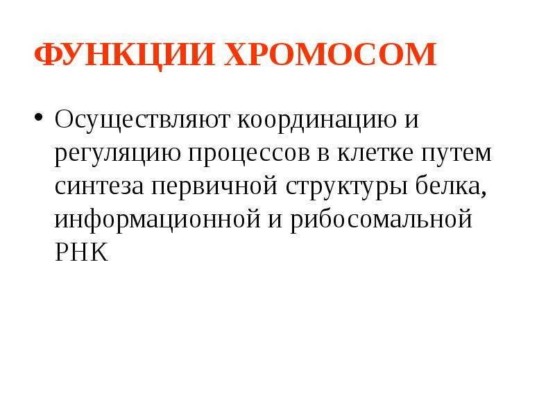 Роль хромосом. Функции хромосом. Функции хромосом в клетке. Функции хромосом кратко. Структурная и Регуляторная функции хромосом.