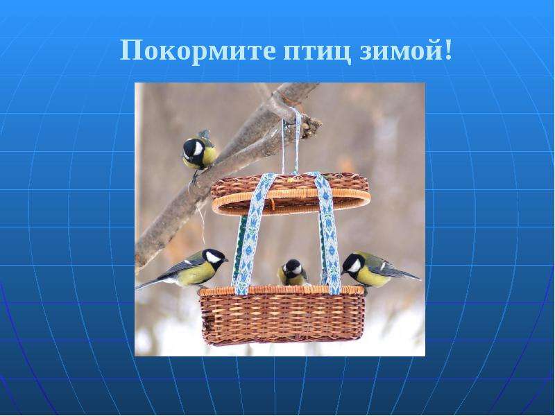 Презентация птички