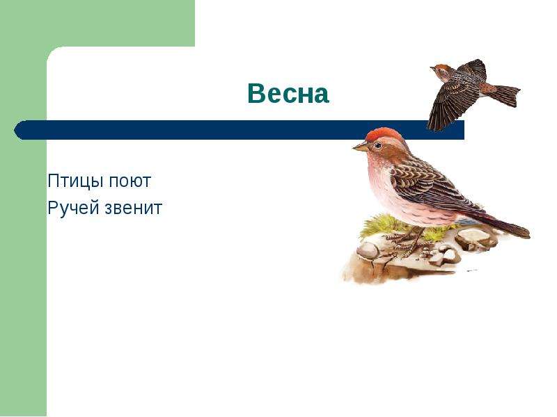 Первые звуки весны. Сочинение звуки весны. Презентация звуки весны. Звук весной. Описать звук весны.