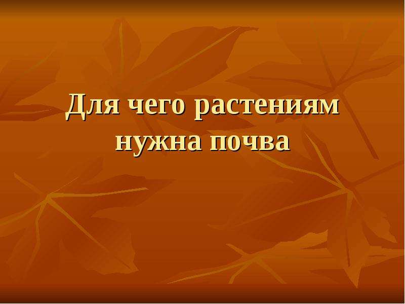 Зачем растениям почва. Для чего растениям нужна почва. Зачем нужна почва. Для чего растениям нужна почва проект. Зачем растениям почва кратко.