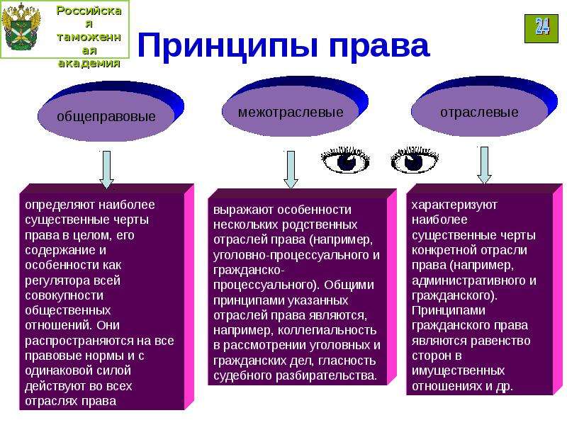 Принципы законодательства. Межотраслевые принципы права. Отраслевые принципы права. Общеправовые принципы права. Принципы общеправовые отраслевые.