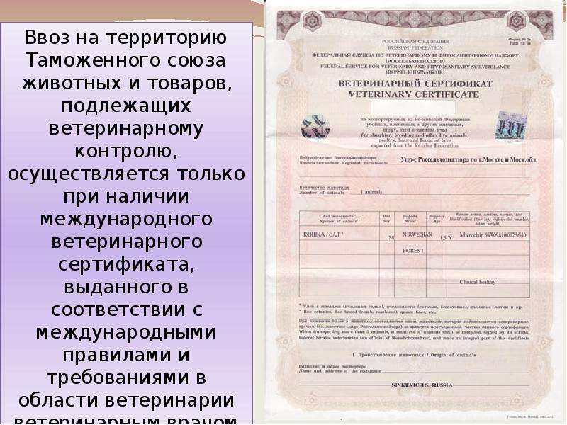 Ввоз на территорию. Продукция подлежащая ветеринарному контролю. Виды ветеринарного контроля. Осуществление ветеринарного контроля при ввозе. Ветеринарный контроль перечень товаров.