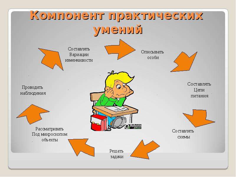 Практические умения. Практические навыки. Практические умения примеры. Практические умения например.