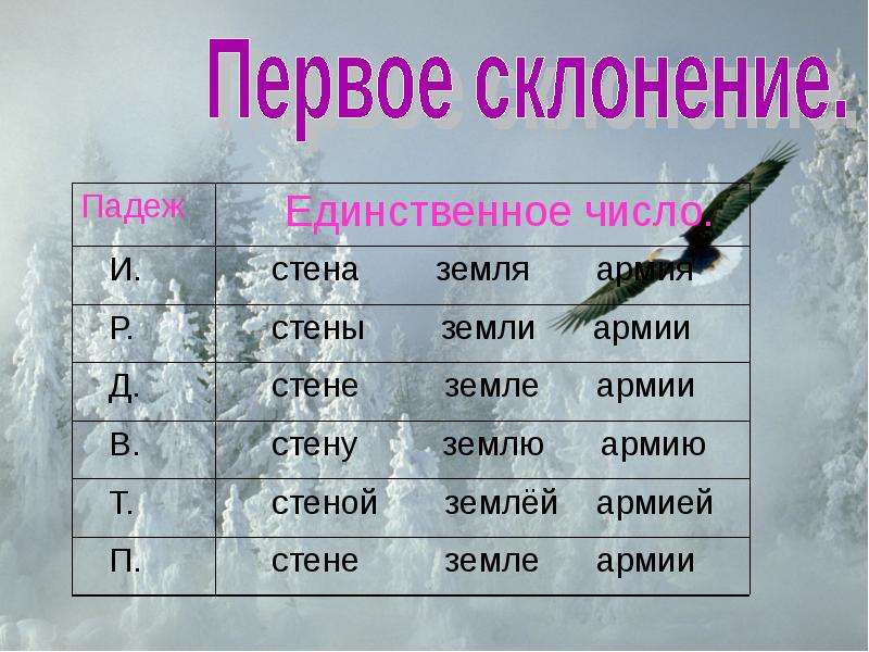 В полете склонение. Армия склонение. Армия склонение по падежам. Армия какое склонение. Стена склонение.