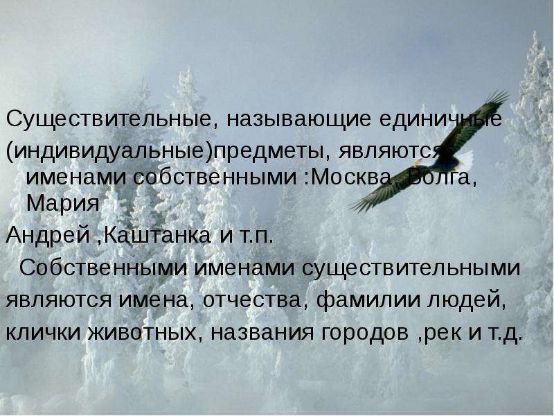 Единичным именем объекта не является. Имена существительные называющие единичный предмет. Существительные называющие единичные предметы. Единичным именем объекта является имя. Существительные называющие человека.