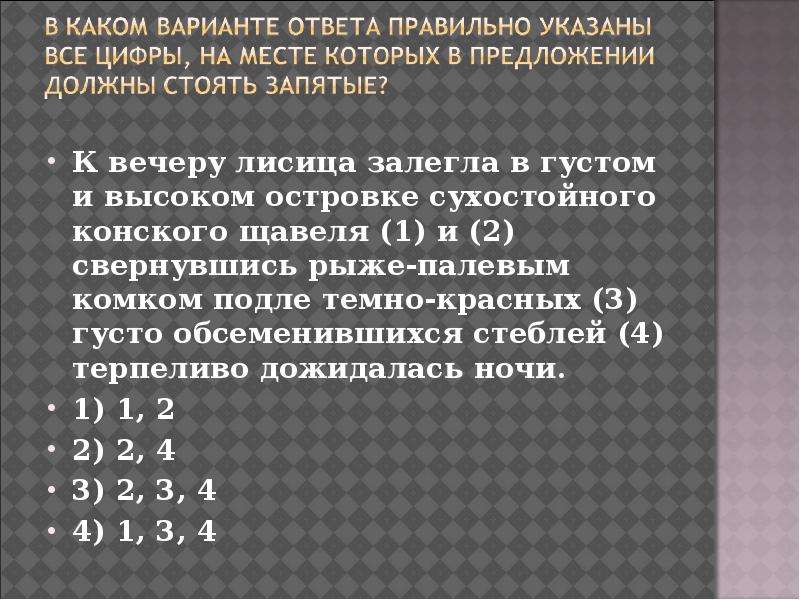 К вечеру лисица залегла в густом и высоком островке сухостойного конского щавеля и свернувшись схема