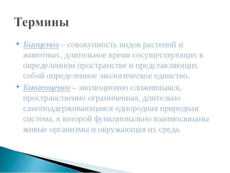 Совокупность всех видов животных. Совокупность видов животных. Совокупность видов растений и животных. Совокупность всех видов живых. Виды совокупности.