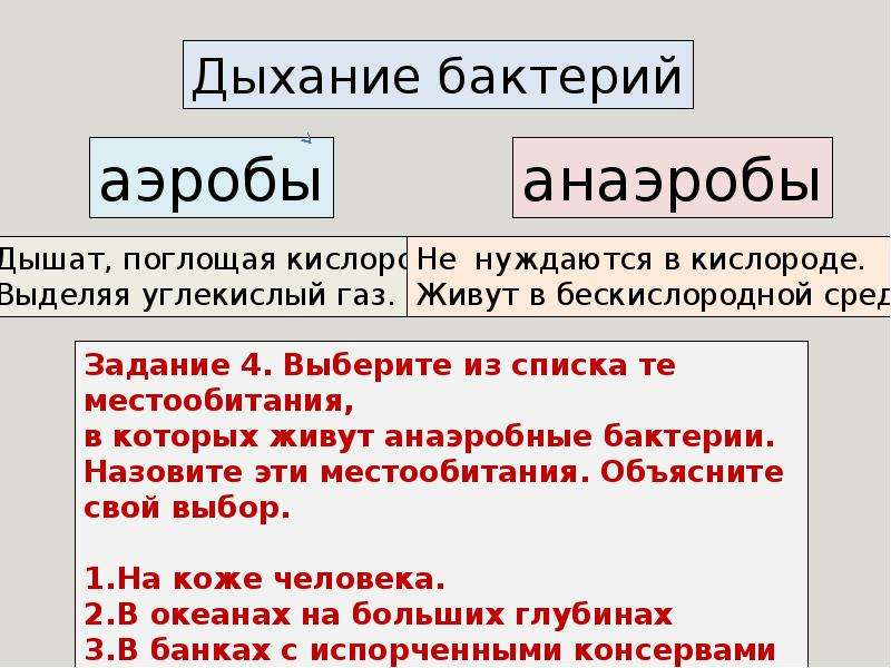 Аэробы. Аэробы и анаэробы. Аэробы и анаэробы примеры. Дыхание бактерий аэробы анаэробы. Аэробы и анаэробы таблица.