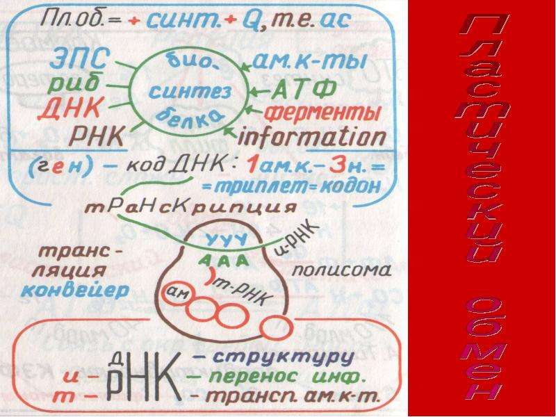 Графический конспект. Обращение опорный конспект. Опорный конспект по витаминам. Частица опорный конспект.