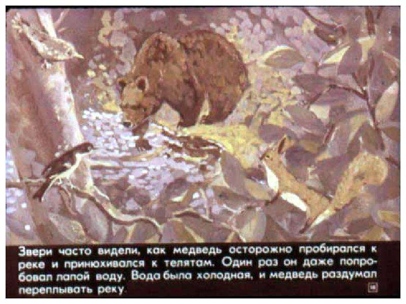 Рассказ паустовского медведь. Дремучий медведь - рассказ Константина Паустовского. Паустовский дремучий медведь иллюстрации.