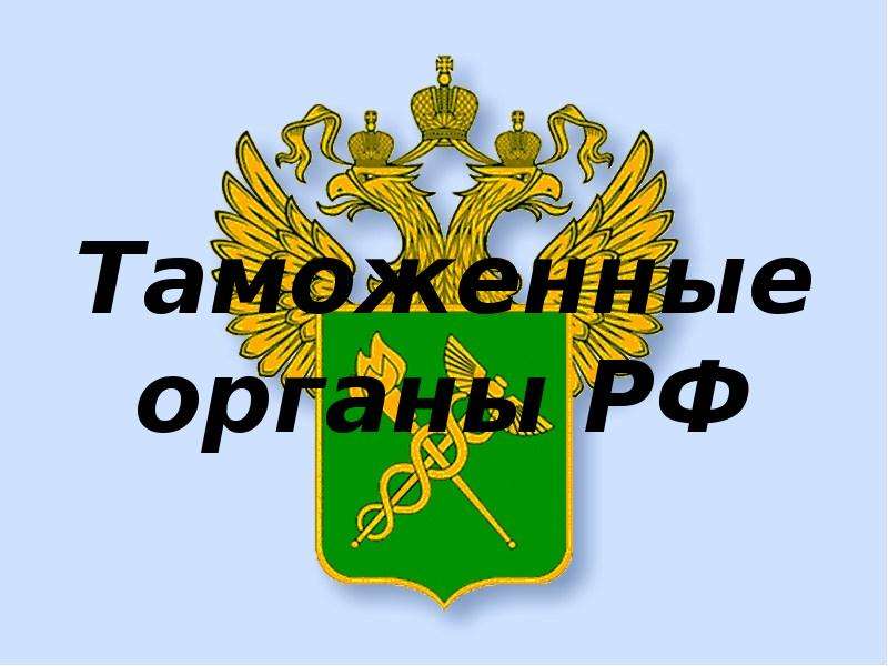 Таможенные органы презентация