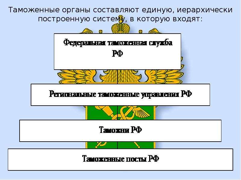 Структура таможни схема