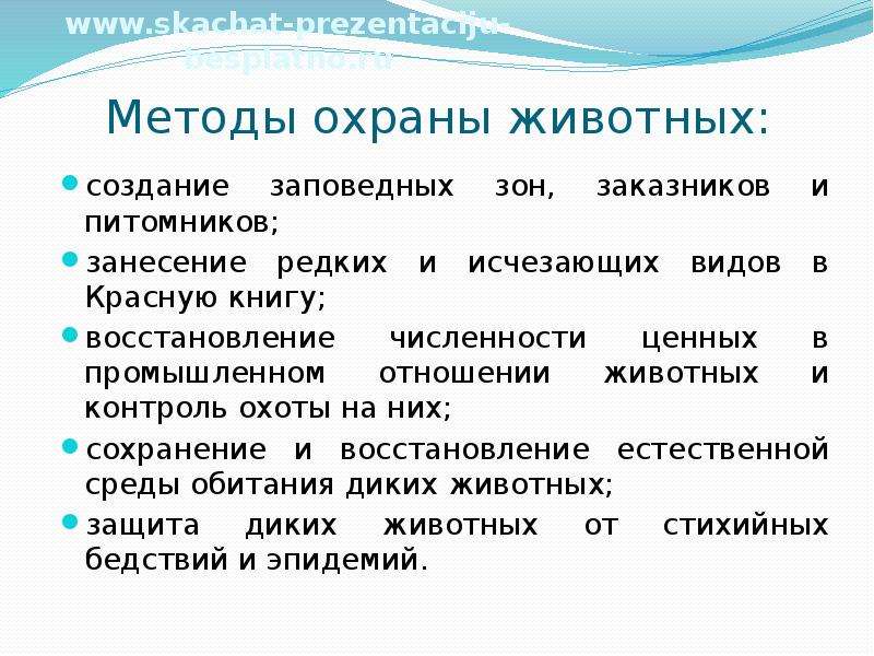 Восстановление численности млекопитающих презентация