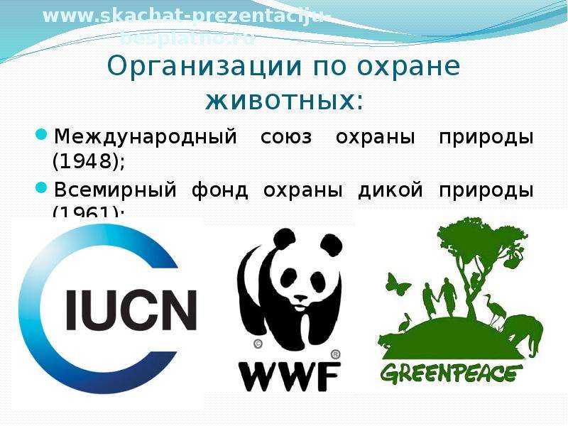 Международная охрана природы. Международный Союз по охране природы (МСОП). Всемирный фонд охраны дикой природы. Гринпис Всемирный фонд дикой природы. МСОП 1948.
