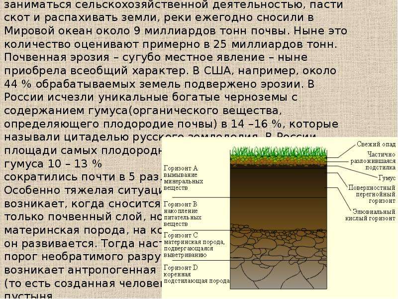 Появляется слой. Материнская порода почвы. Слой почвы материнская порода. Экологическая роль гумуса. Материнская порода почвы как называется.