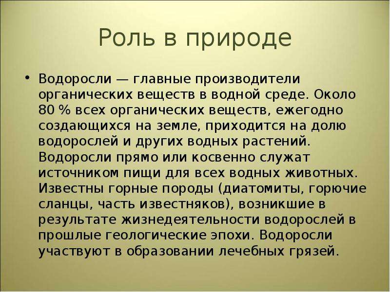 Презентация водоросли их разнообразие и значение в природе