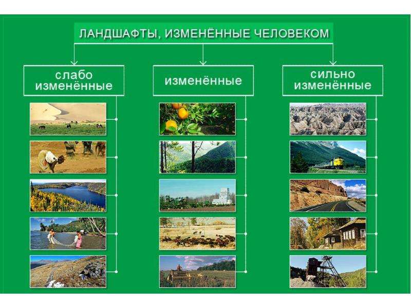 Ландшафты россии презентация