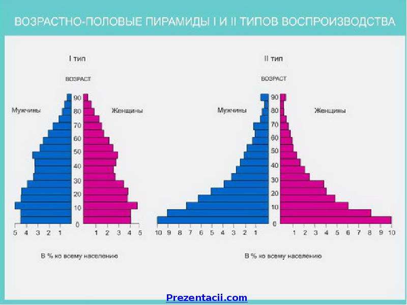 Половозрастные пирамиды презентация